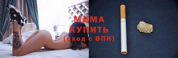 гашик Алексин