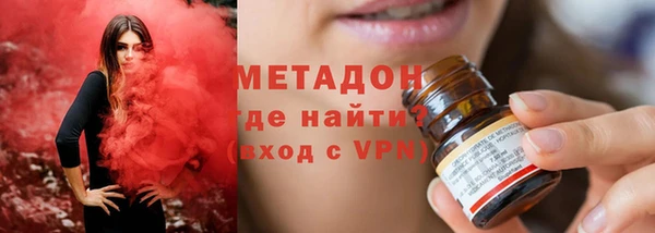 гашик Алексин