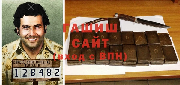 гашик Алексин