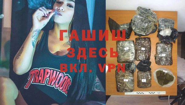 гашик Алексин