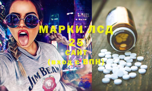 гашик Алексин