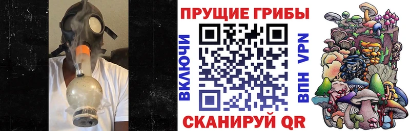 Галлюциногенные грибы мицелий  купить наркотик  Ишим 